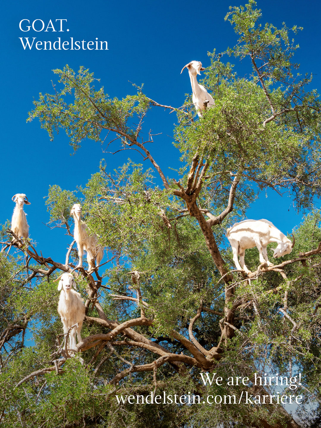 GOAT-linkedin-1080x1440px